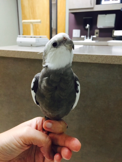 You want to take a few warm-up shots for the upcoming "prettiness contest?" Well, okay, but I don't really need the practice.