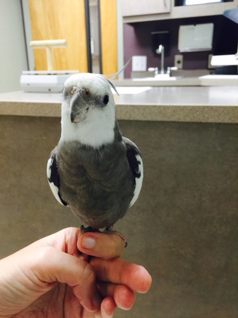 I'm a shoe-in to win "prettiness." 