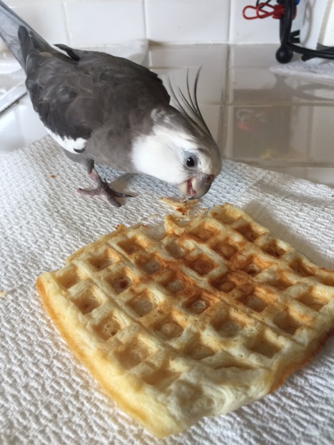 Only through subtlety and sleight-of-hand (at which .007 excels!) can you pull off the "perfect poach!"