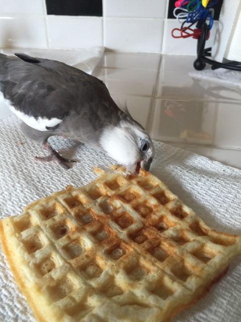 Here, you want to keep one eye on the item being poached....