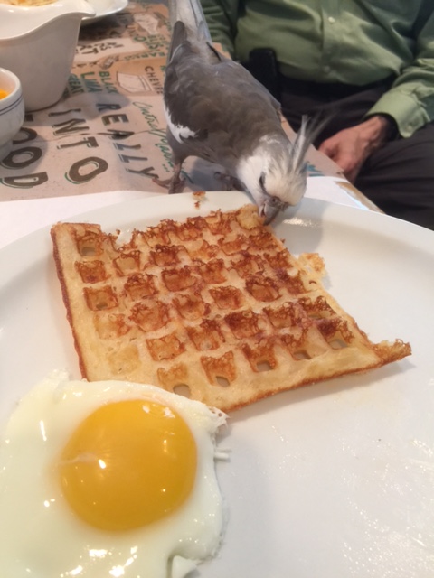 I have to say - you taste even more delectable under the shadow of my extremely Tall security lookout.