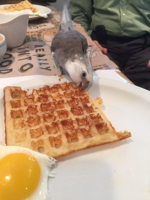 Oh. Hi, Mom. Yup, I thought that was a bit much shadow, even for such a Tall lookout. 