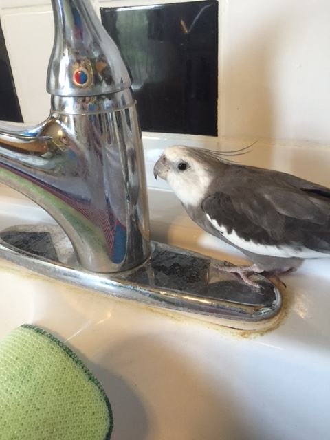 You know, you look very familiar. Are you sure we haven't met before?