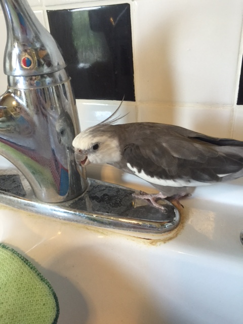 And I have to say - you are sporting my absolute favorite color combination too.