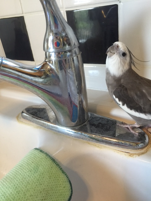 Single? Why yes, I do happen to be single at the moment....you?