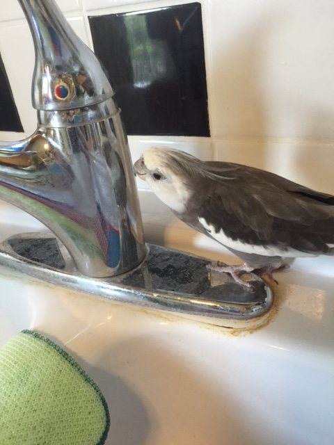 You too? Wow - we really do have a lot in common, don't we?