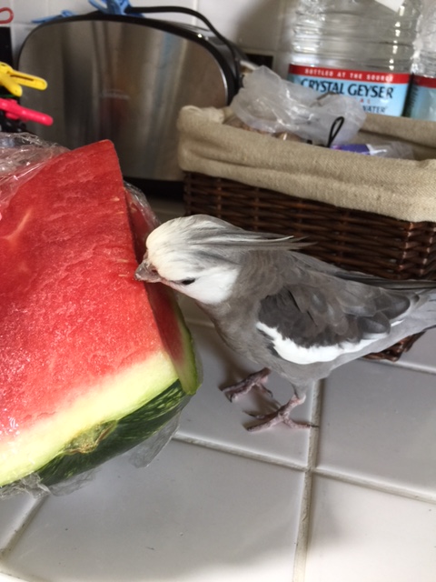 Its bouquet is just as fragrant and fruity as I remembered it to be.