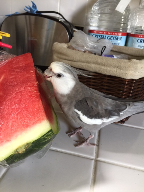 Ah yes. Light and lovely. It was a wise call to be sure I was first in line!