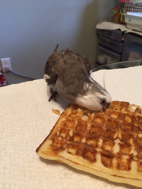 I'm pretty sure the "way of my people manual" says it's okay to thank and snack at the same time....