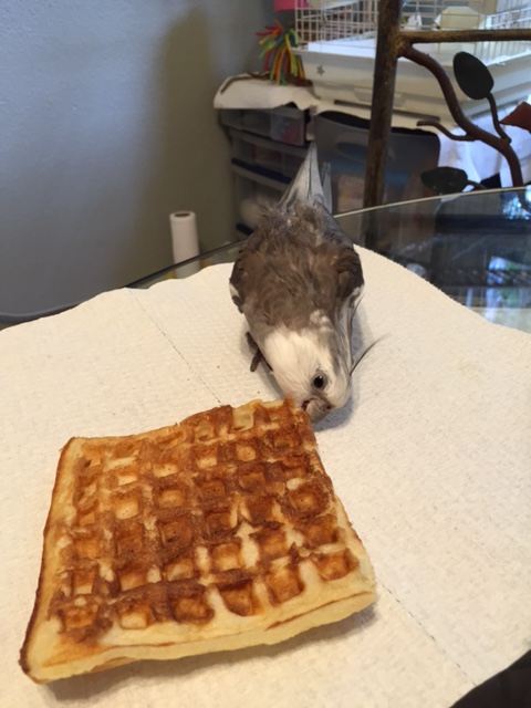 I will do this by building a complete flavor profile of this waffle.