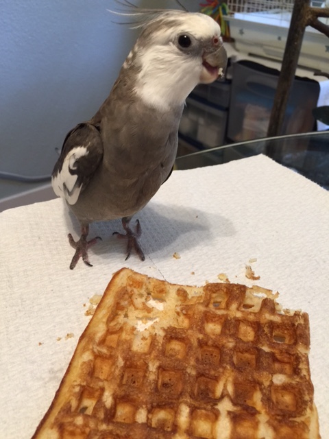 She thinks she can pull the ol' "I just want to take a picture of you with your prey" routine, but I know what she's really after...!