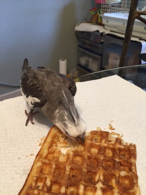 And yet after I do all the hard work they want to try to sneak in and have it.