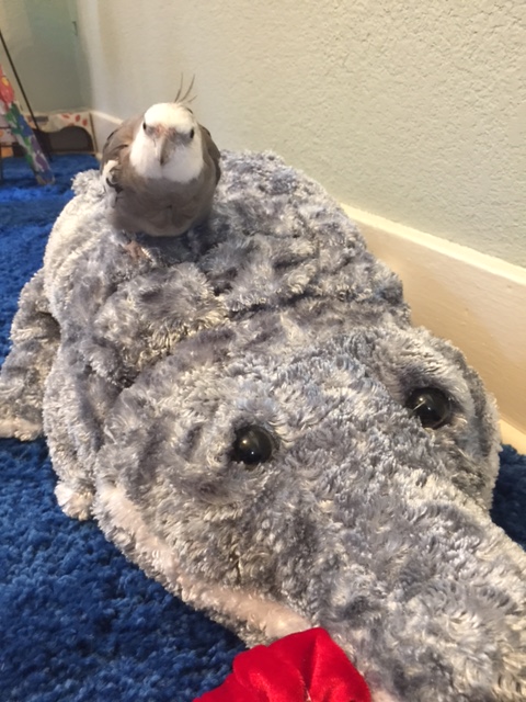 Well of course I mean "faint dead away" as a metaphor.