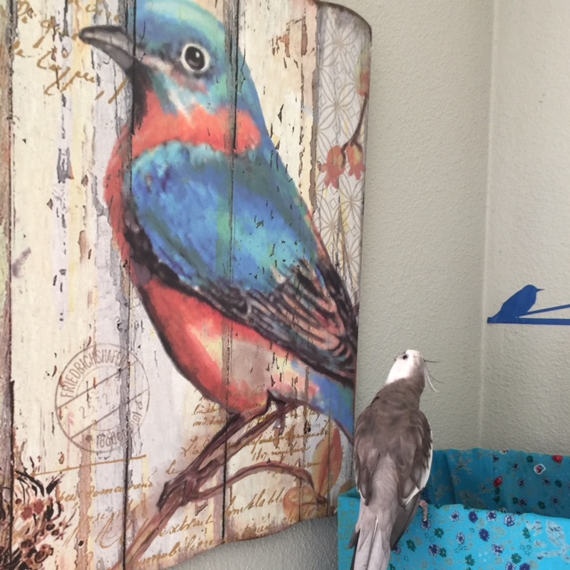 You're not sure? You're thinking about staying since this seems to be a posh pad?