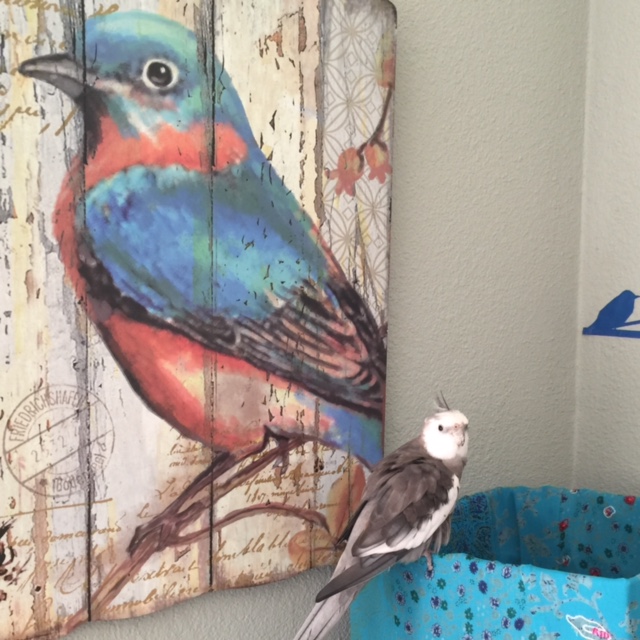 Mom, did you know anything about this? 