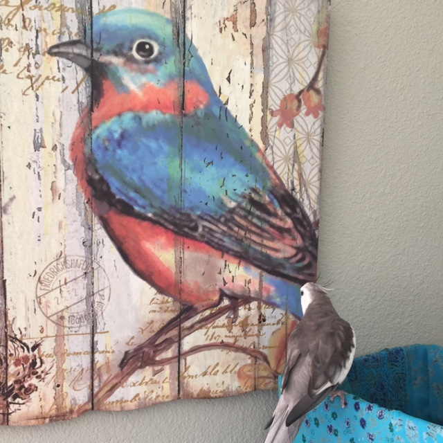 Well hello there! I assume you're just passing through and stopped by to say hi?