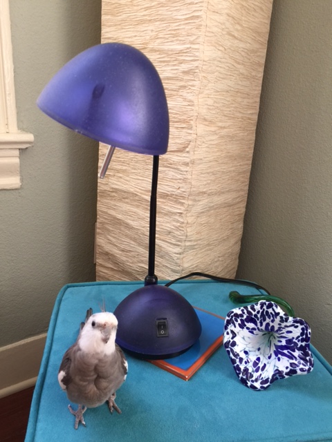 And it has a soft blue ambiance I like - manly and masculine, but subtle too.