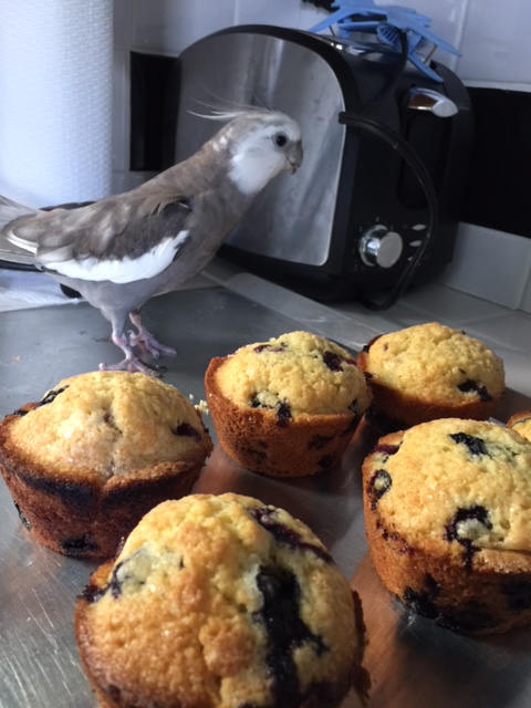 Uh oh. What have we here?