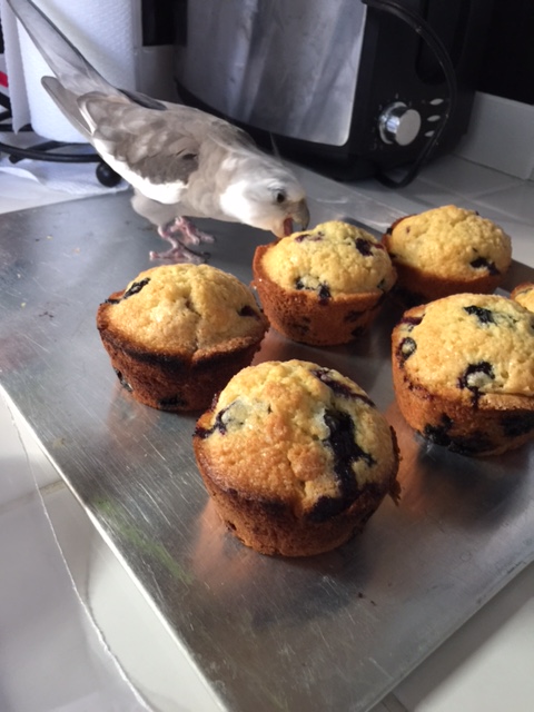 And now, as Head of Security for the casa, I'm going to have to taste-test it to make sure no one gets poisoned.