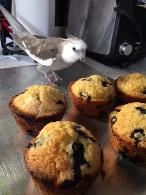 They do not look like waffles.