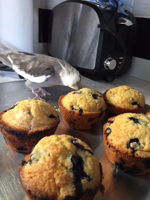 And they definitely don't taste like waffles.