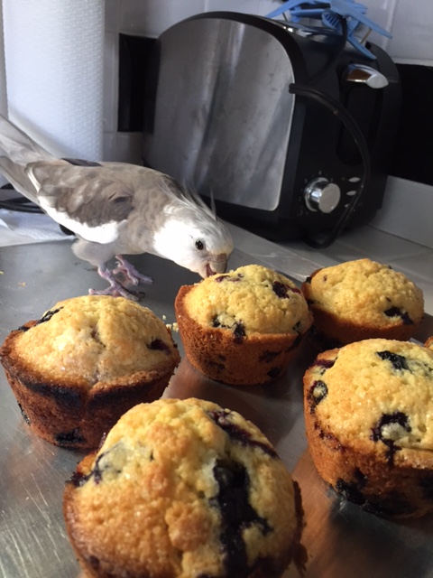 Sigh. You just had to go and do it, didn't you Mom?