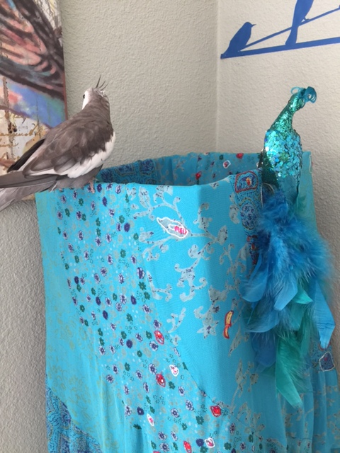 Hmmm. This is such an intriguing contraption. I can't think what my large featherless assistant needs it for....