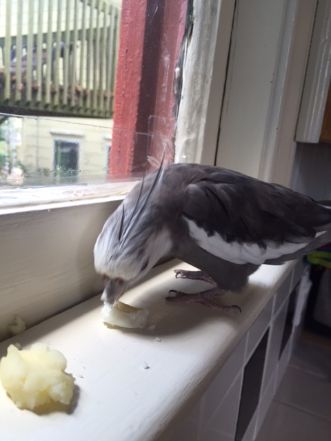 What an intriguing custom....don't mind if I do.