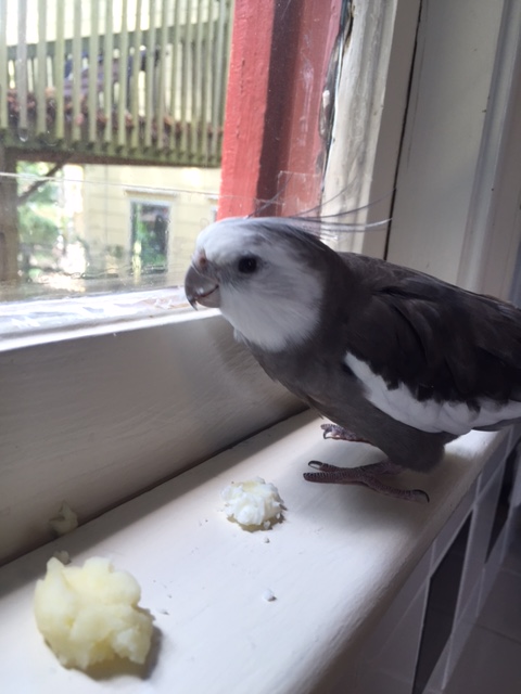 And you said this style of dining is called "brunch stations," Mom?