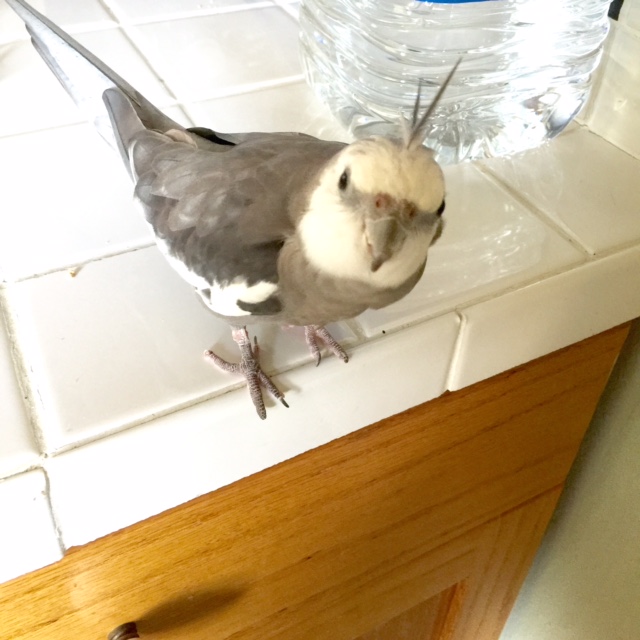 That is true too - I look very pretty in every picture.