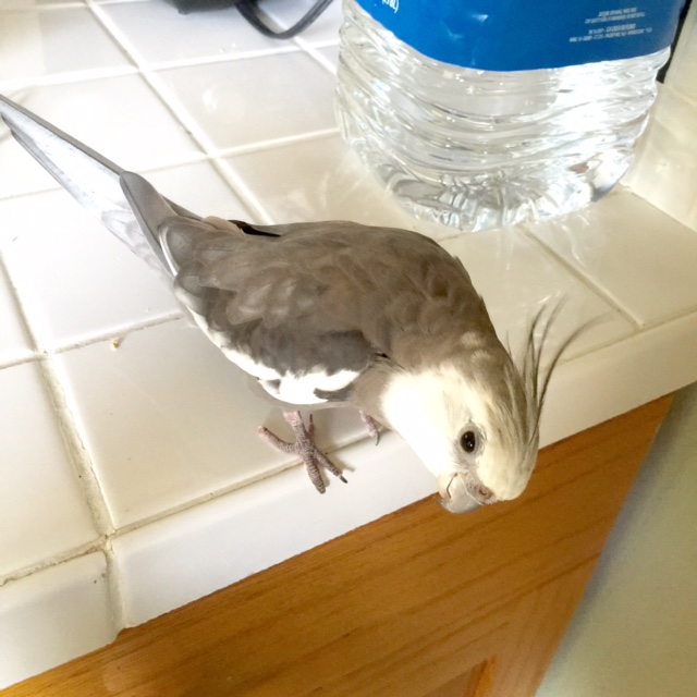 Not a vibrant color or interesting prop anywhere in sight.