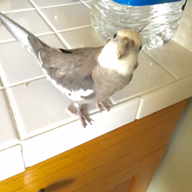 Seriously, Mom? You want to do a photo shoot....here?