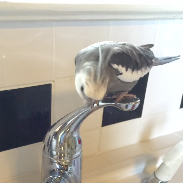 Speaking of which....that's right, Mom, if you could just go hide in the corner over there....