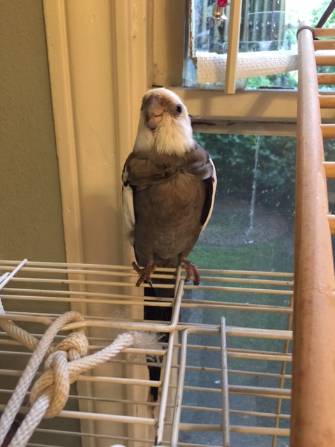 Yes, Mom, I'm ready to start my "fierceness photo shoot."