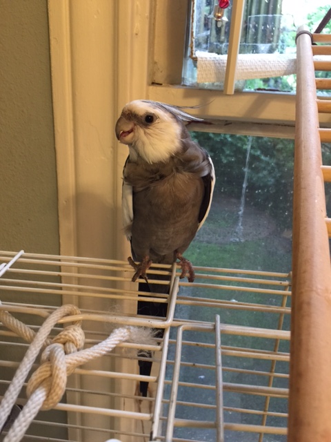 Well, yes, I am feeling very fierce today. Why?