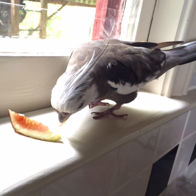 Who let you in here - oh wait, don't tell me. 