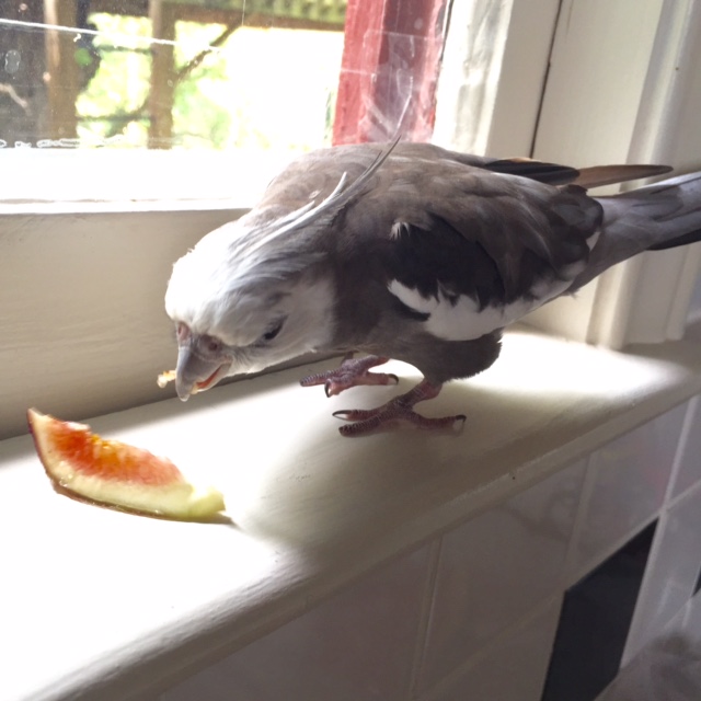 And did she also tell you that you are tasty?