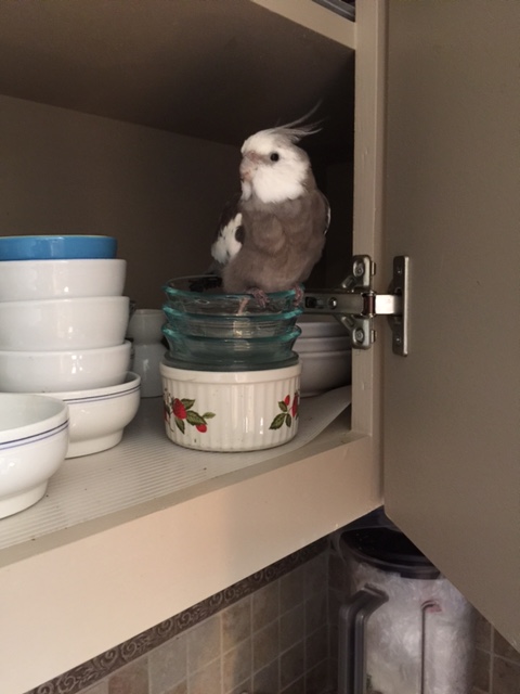 You'd like to do a photo shoot "on location" - right here?