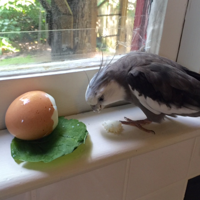 And just where do you think you're going?