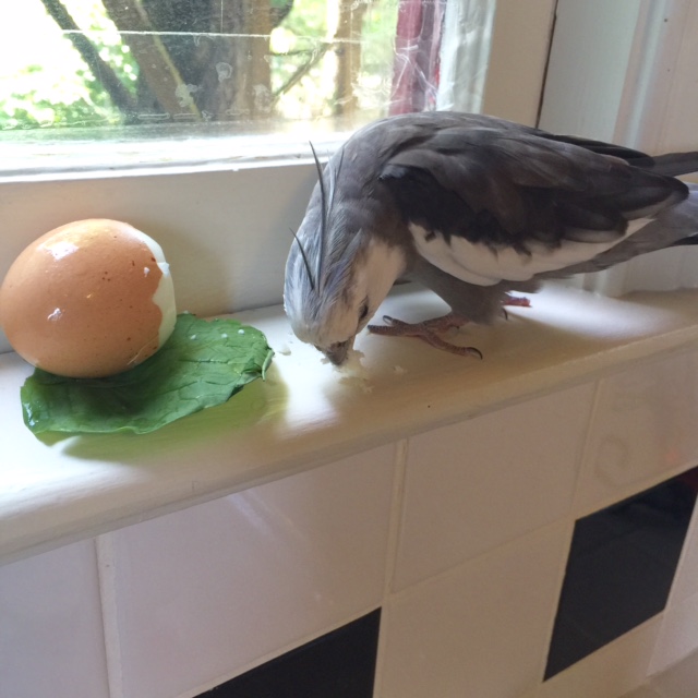 In the meantime.....