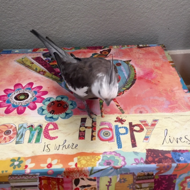 Yes, that's right, Mom, point the camera in this direction.