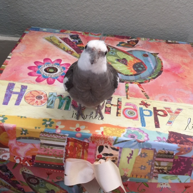 In this first photo, we can feature me in MY casa. Let's call this one "MY Casa." 