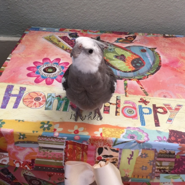 For this next photo, let's feature me sitting on MY possessions. We can call this one "MY Possessions."