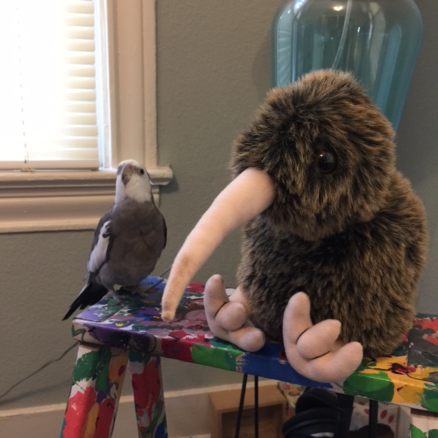 But I have to say I like it here - I get a large featherless assistant all to myself.