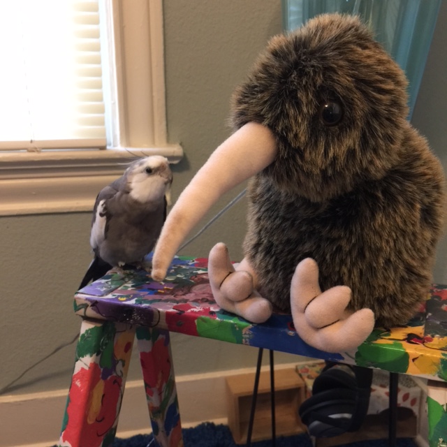 And your beak is so - prominent. And it seems perfectly sized for snatching waffles at long distances.