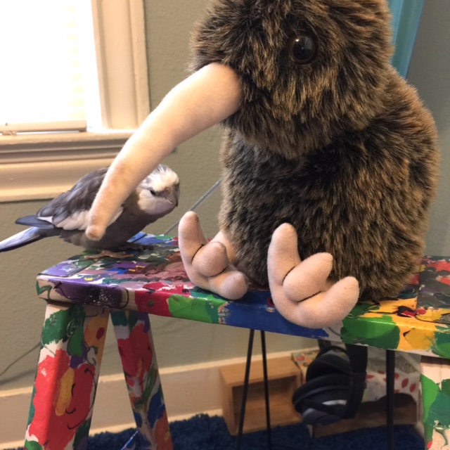 I have to say - you have the most beautiful pink feet! Pink feet are the best color to have. 