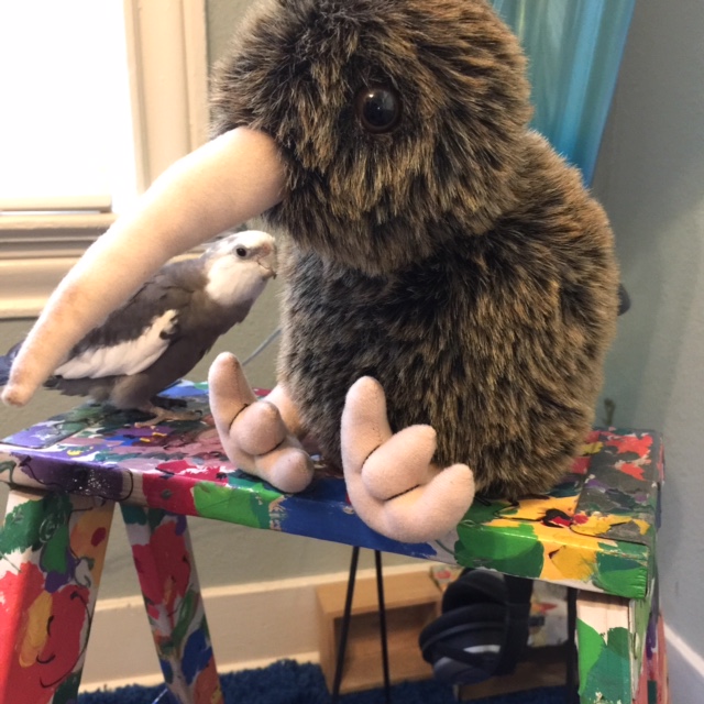 You don't have a tail....wow, you really don't! That's okay - I just lost a few tail feathers myself - why don't you use those until yours grows back?