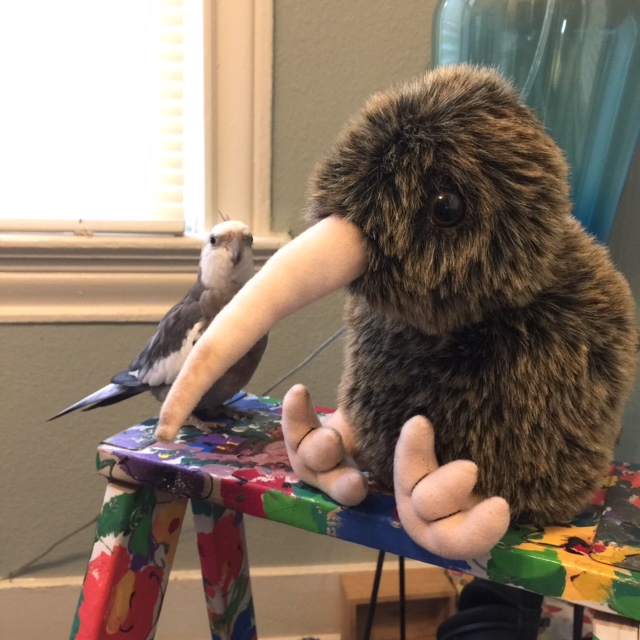 And - while we're on the subject - might I ask where you've hidden your wings?