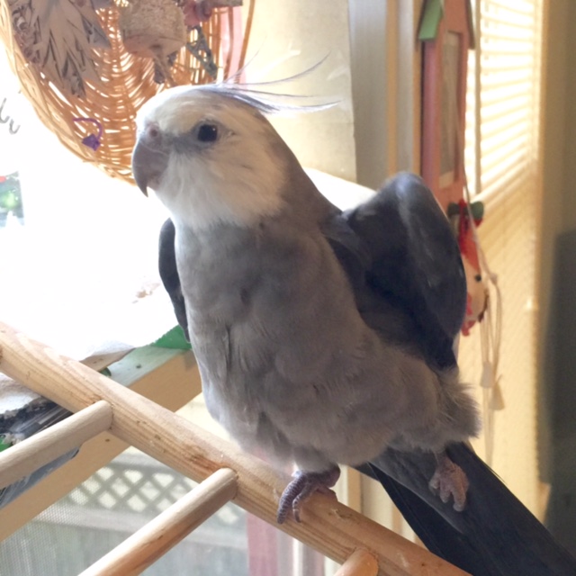 I can't understand how such scandalous rumors get started.