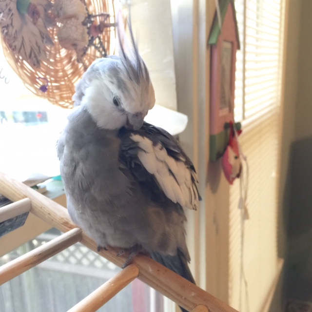 It's people who use the wrong terminology that give everyone these strange ideas.